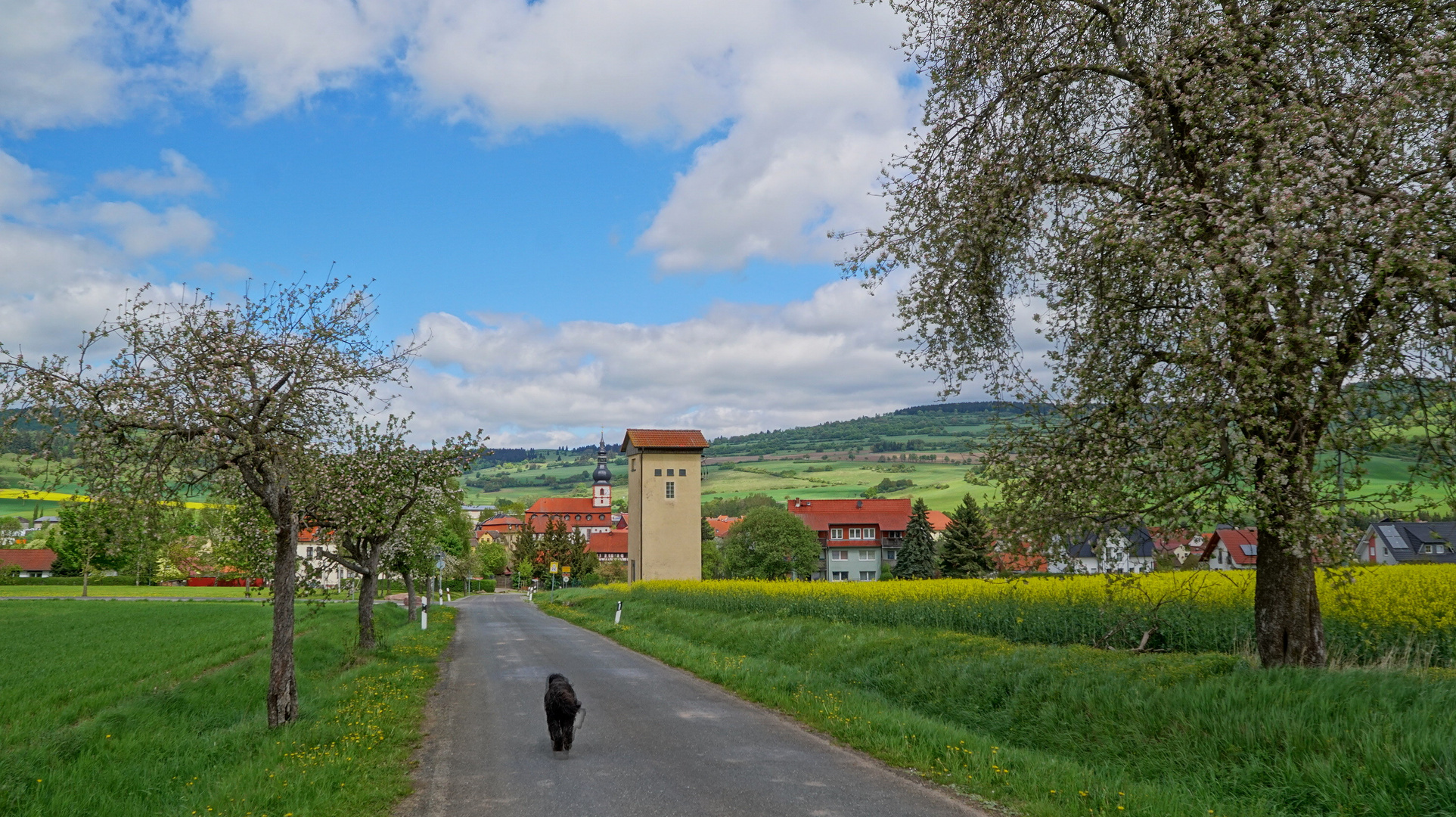 auf dem Weg nach Hause (en camino a casa)