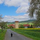 auf dem Weg nach Hause (en camino a casa)