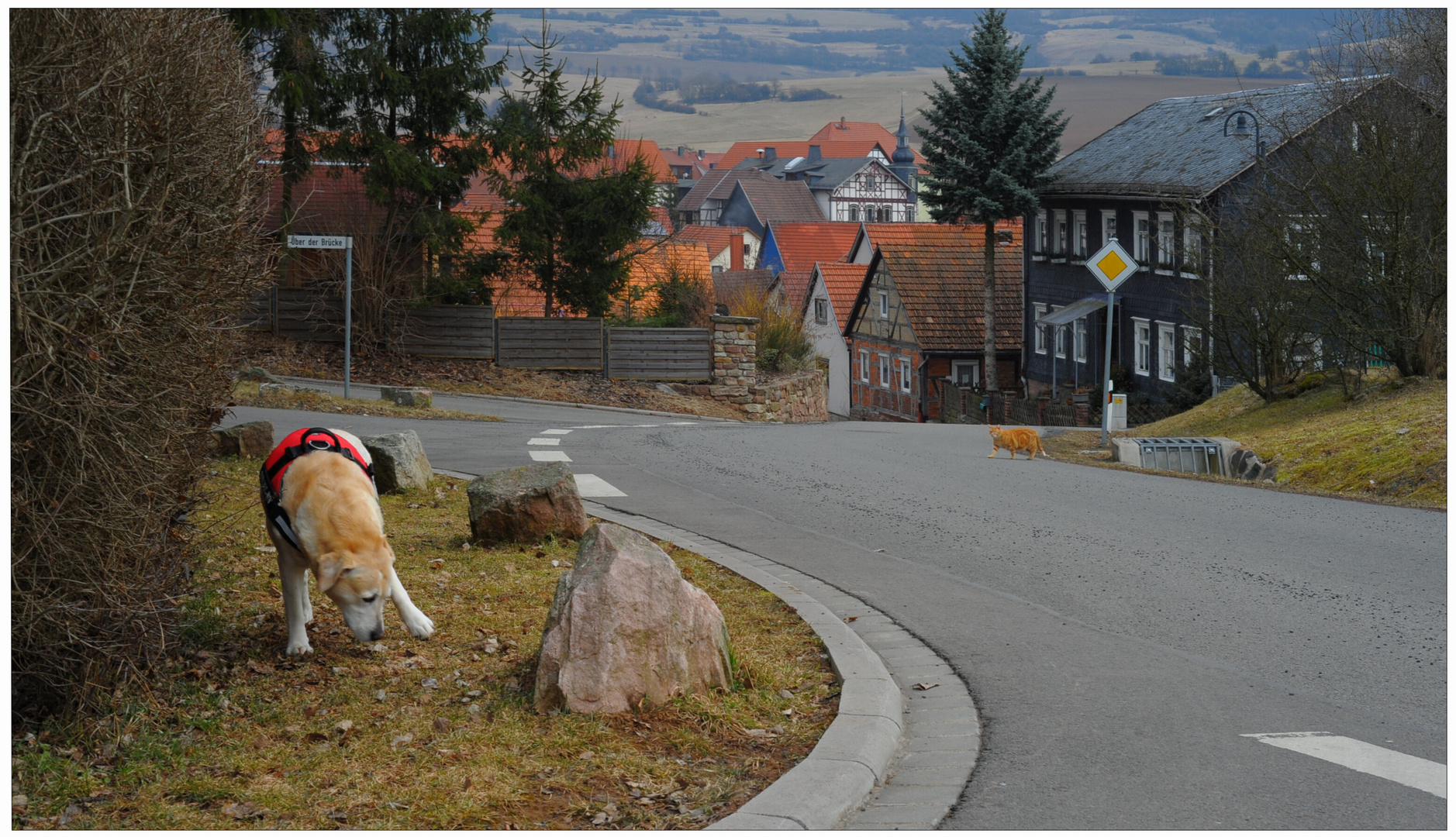 Auf dem Weg nach Hause (En el camino a casa)