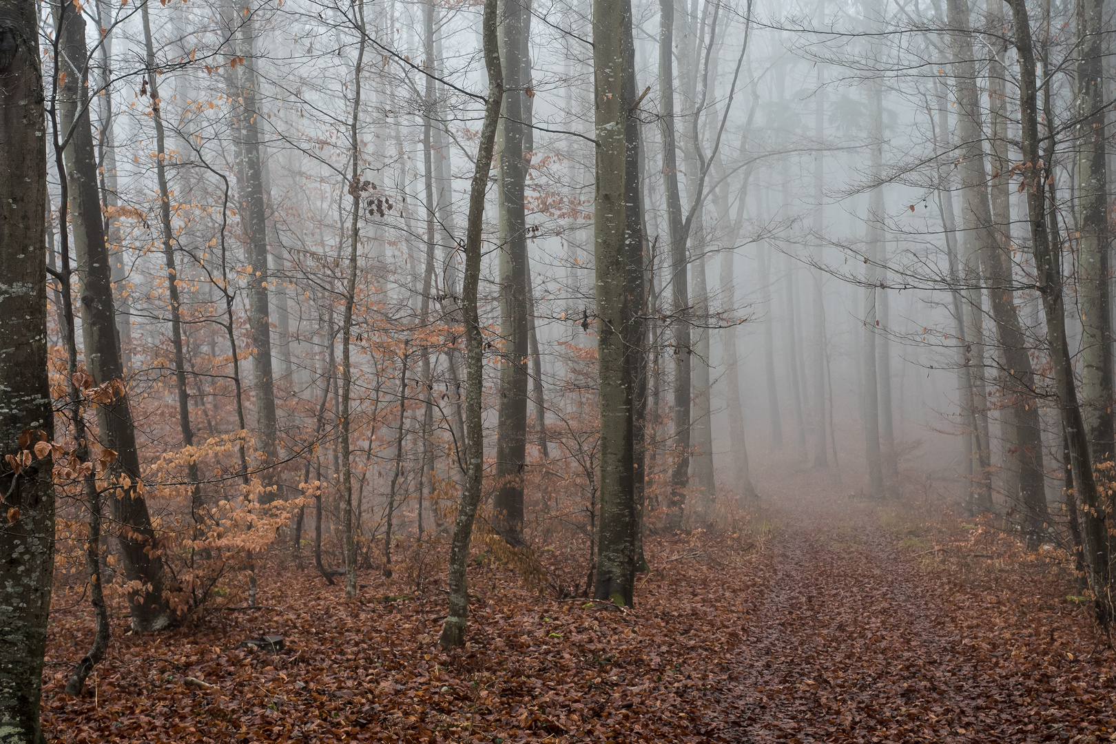 Auf dem Weg nach Hausen III. 2016-01-02.