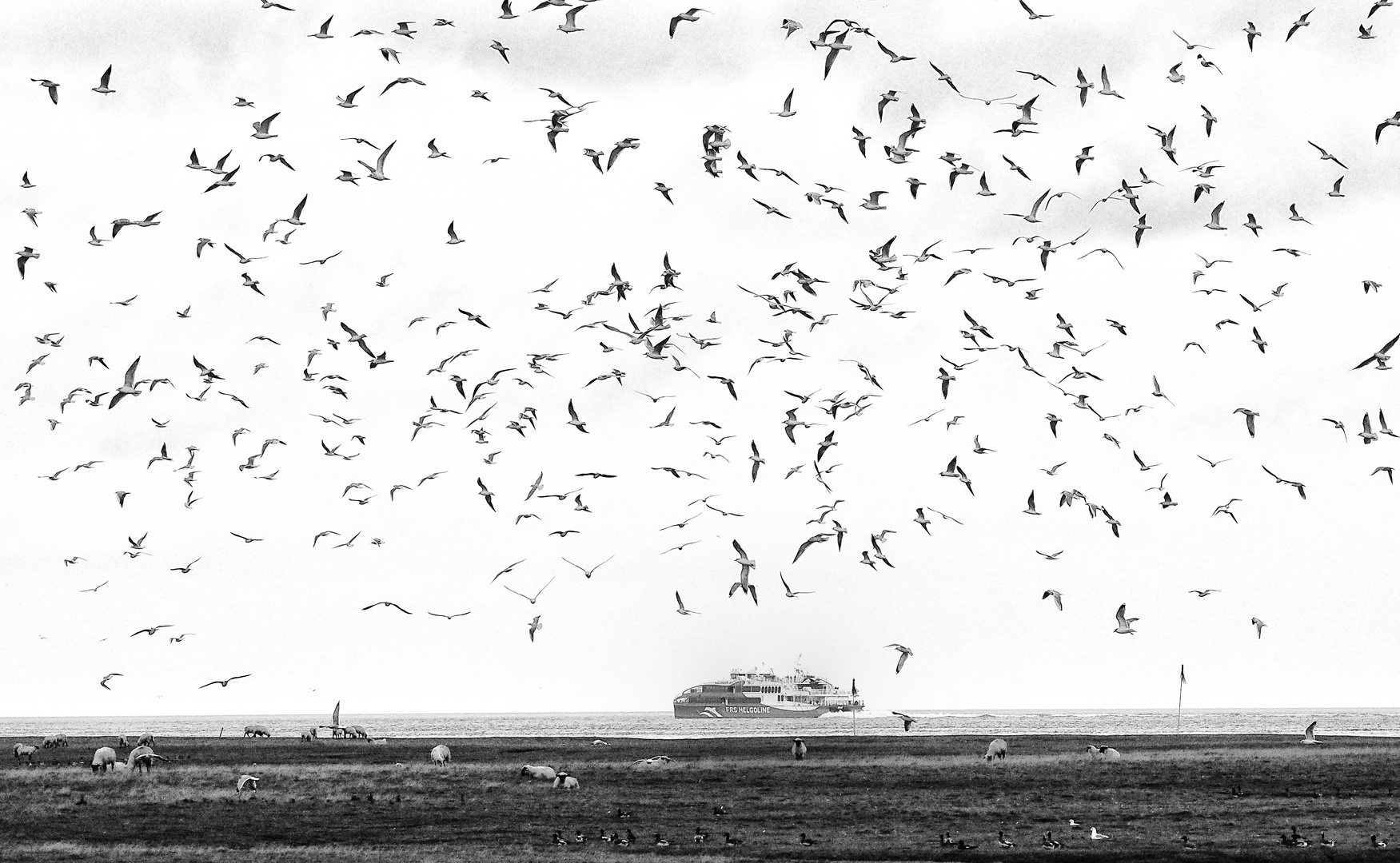 ... auf dem weg nach helgoland