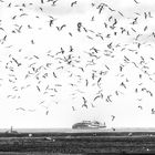 ... auf dem weg nach helgoland