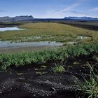 Auf dem Weg nach Höfn... (Island)