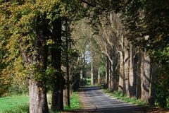 Auf dem Weg nach Ivenack in MV