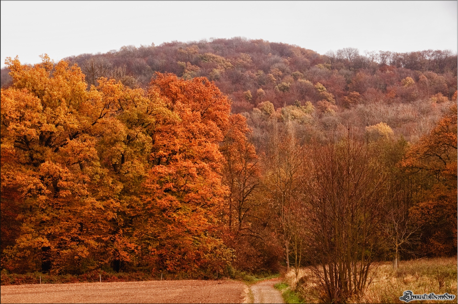 Auf dem Weg nach Kloster Heisterbach