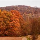 Auf dem Weg nach Kloster Heisterbach