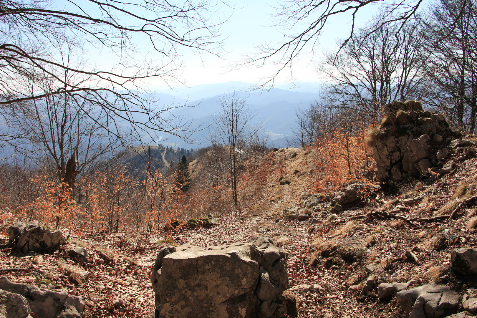 auf dem Weg nach Kobilja glava-1475m