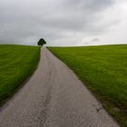 Auf dem Weg nach Lechbruck. 2016-05-15.