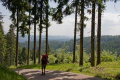 Auf dem Weg nach Lenzkirch