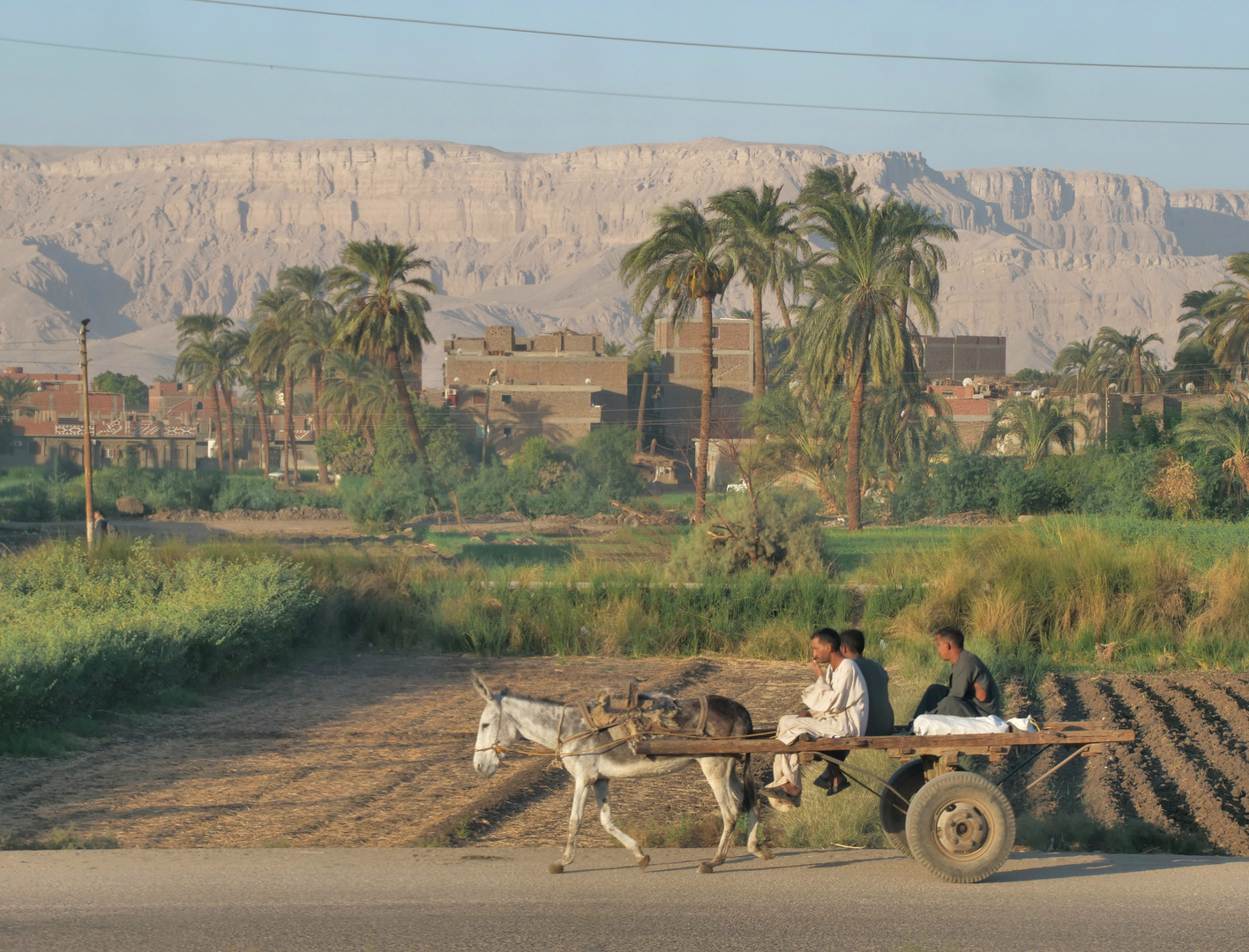 Auf dem Weg nach Luxor