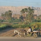 Auf dem Weg nach Luxor