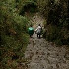 Auf dem Weg nach Machu Picchu