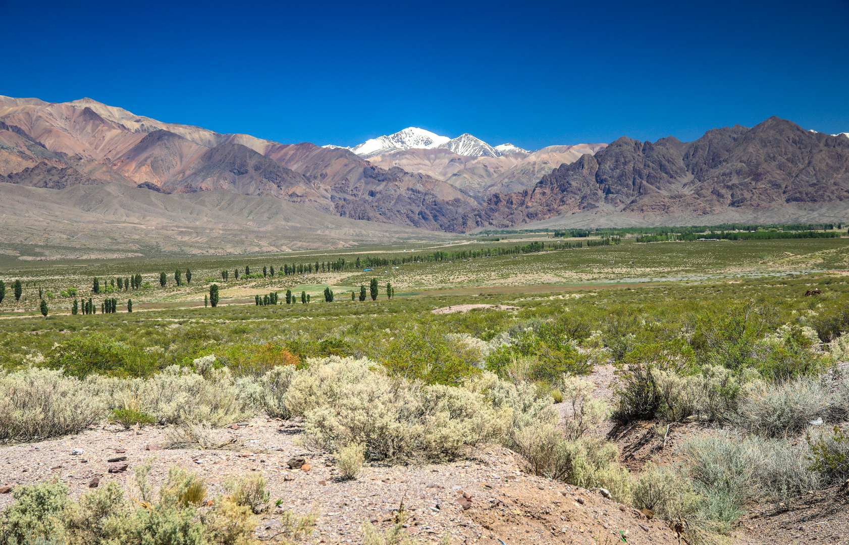 Auf dem Weg nach Mendoza 2