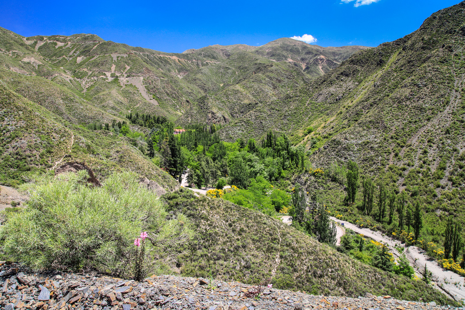 Auf dem Weg nach Mendoza 6