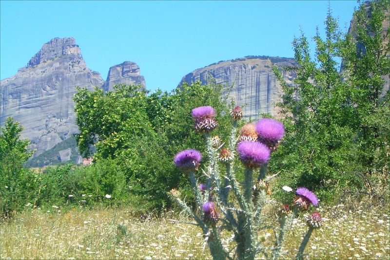 Auf dem Weg nach Meteora