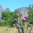 Auf dem Weg nach Meteora