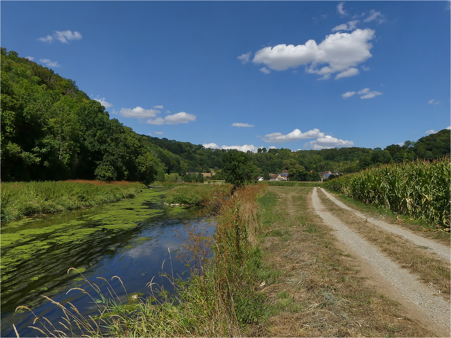 Auf dem Weg nach Mistlau an der Jagst