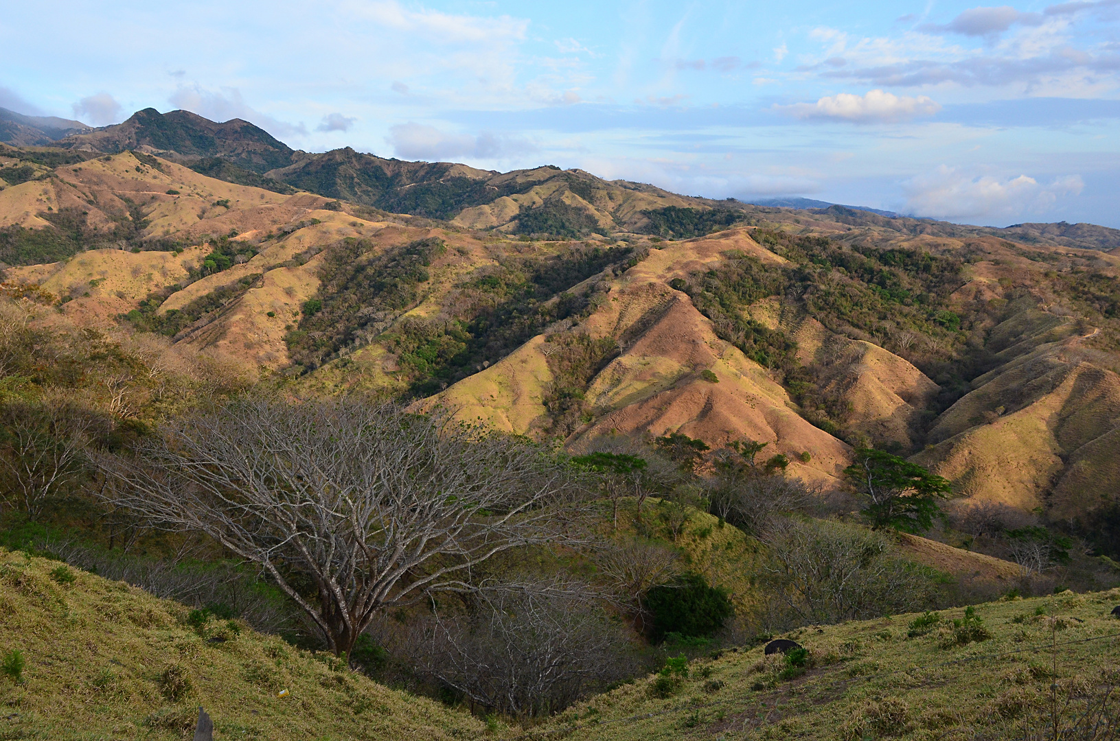 Auf dem Weg nach Monteverde