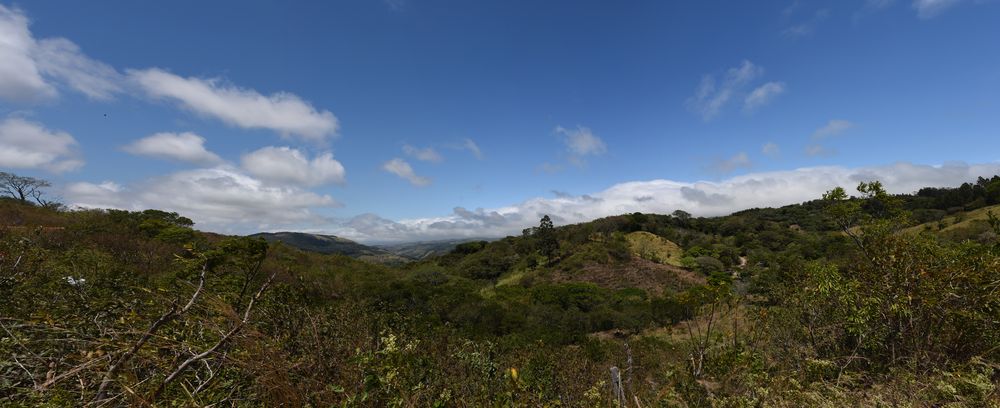 Auf dem Weg nach Monteverde