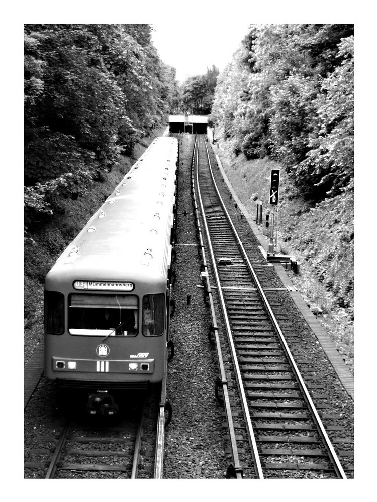 "Auf dem Weg nach Mümmelmannsberg"