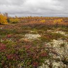 auf dem Weg nach Näkkälä (1)