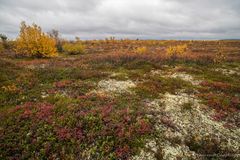 auf dem Weg nach Näkkälä (1)