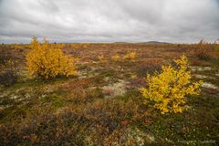 auf dem Weg nach Näkkälä (2)