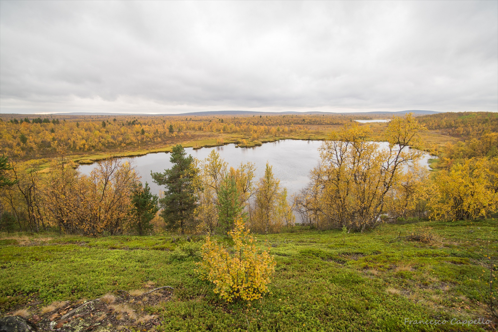 auf dem Weg nach Näkkälä (3)