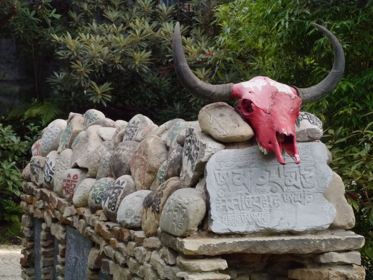 Auf dem Weg nach Nepal ... Botanika-Impressionen