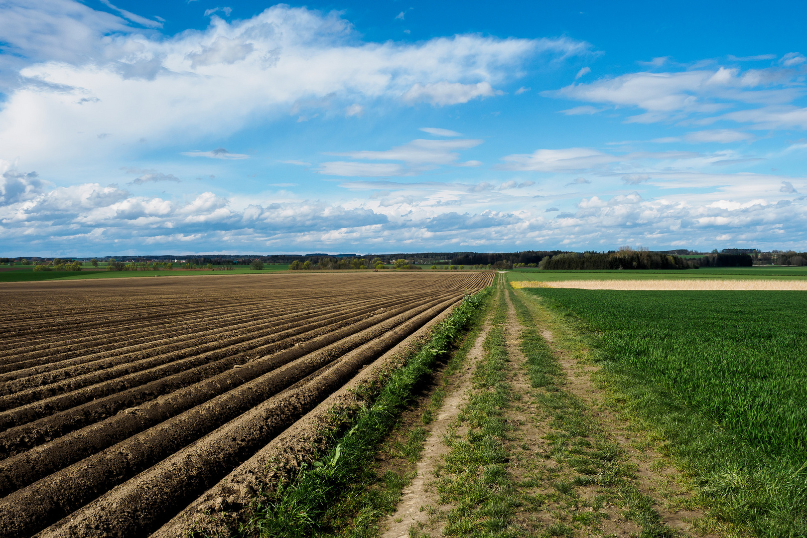 Auf dem Weg nach Niederroth. 2016-04-16.