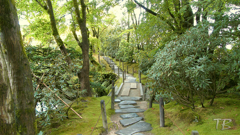 Auf dem Weg nach Nikko