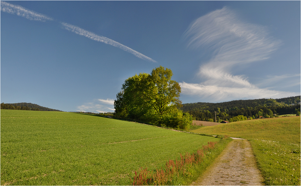 Auf dem Weg nach Norden am Morgen ohne Sorgen