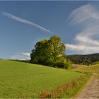 Auf dem Weg nach Norden am Morgen ohne Sorgen