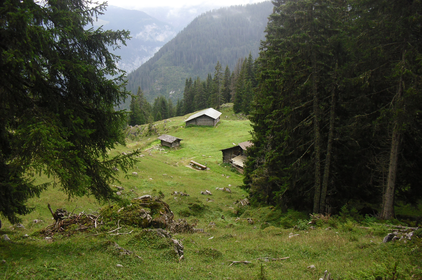 Auf dem Weg nach oben