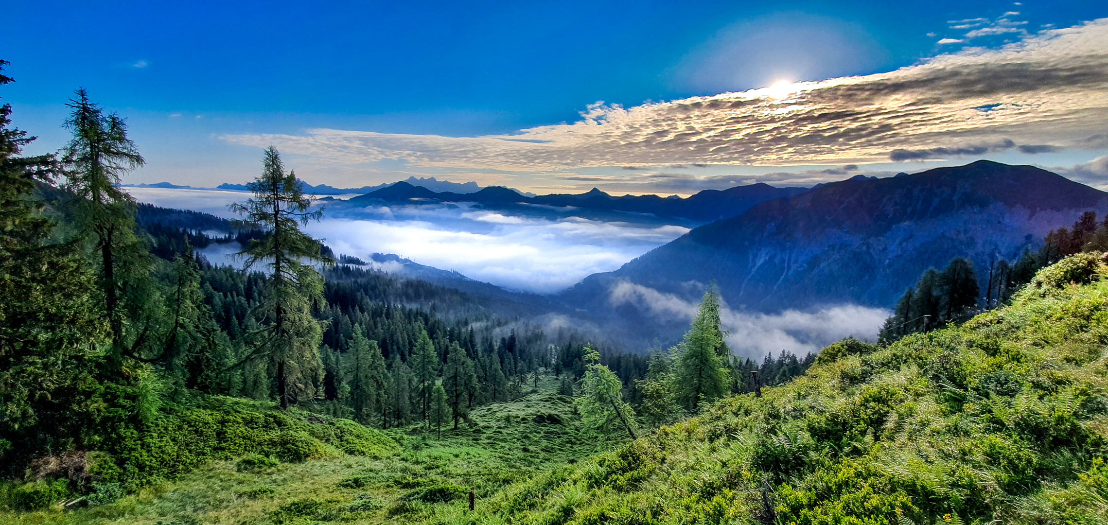 auf dem Weg nach oben zum Gipfel des Ennskraxn