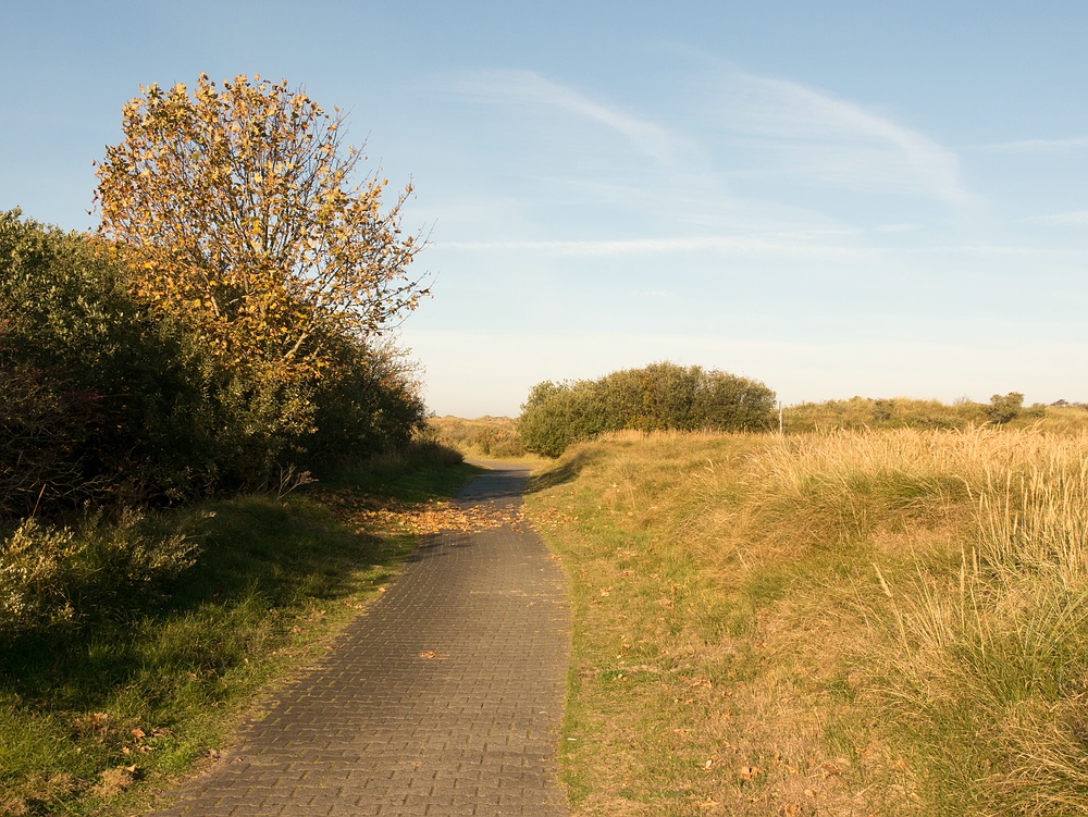 Auf dem Weg nach Ostland