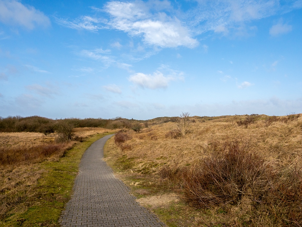 Auf dem Weg nach Ostland