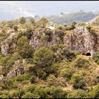 Auf dem Weg nach Ronda