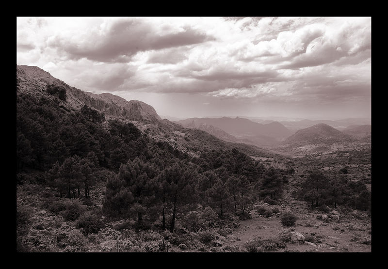 Auf dem Weg nach Ronda...