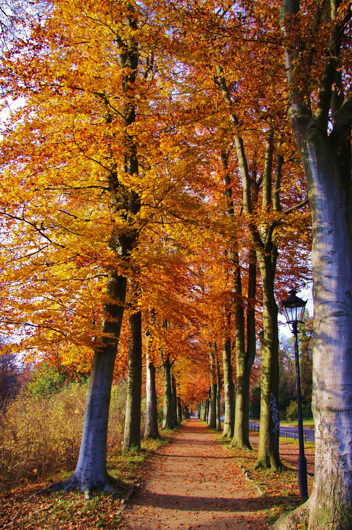 Auf dem Weg nach Sanssouci