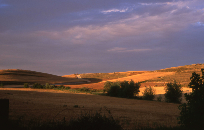 Auf dem Weg nach Santiago de Compostela, 2004