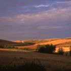 Auf dem Weg nach Santiago de Compostela, 2004