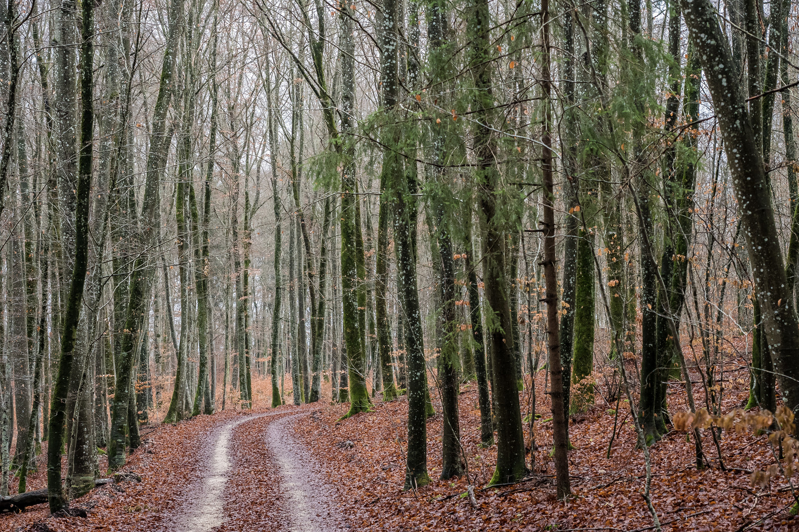 Auf dem Weg nach Schmiechen VII.