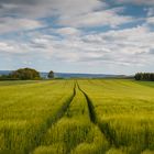 Auf dem Weg nach Schömerich