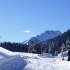 Auf dem Weg nach Schönenbach 01