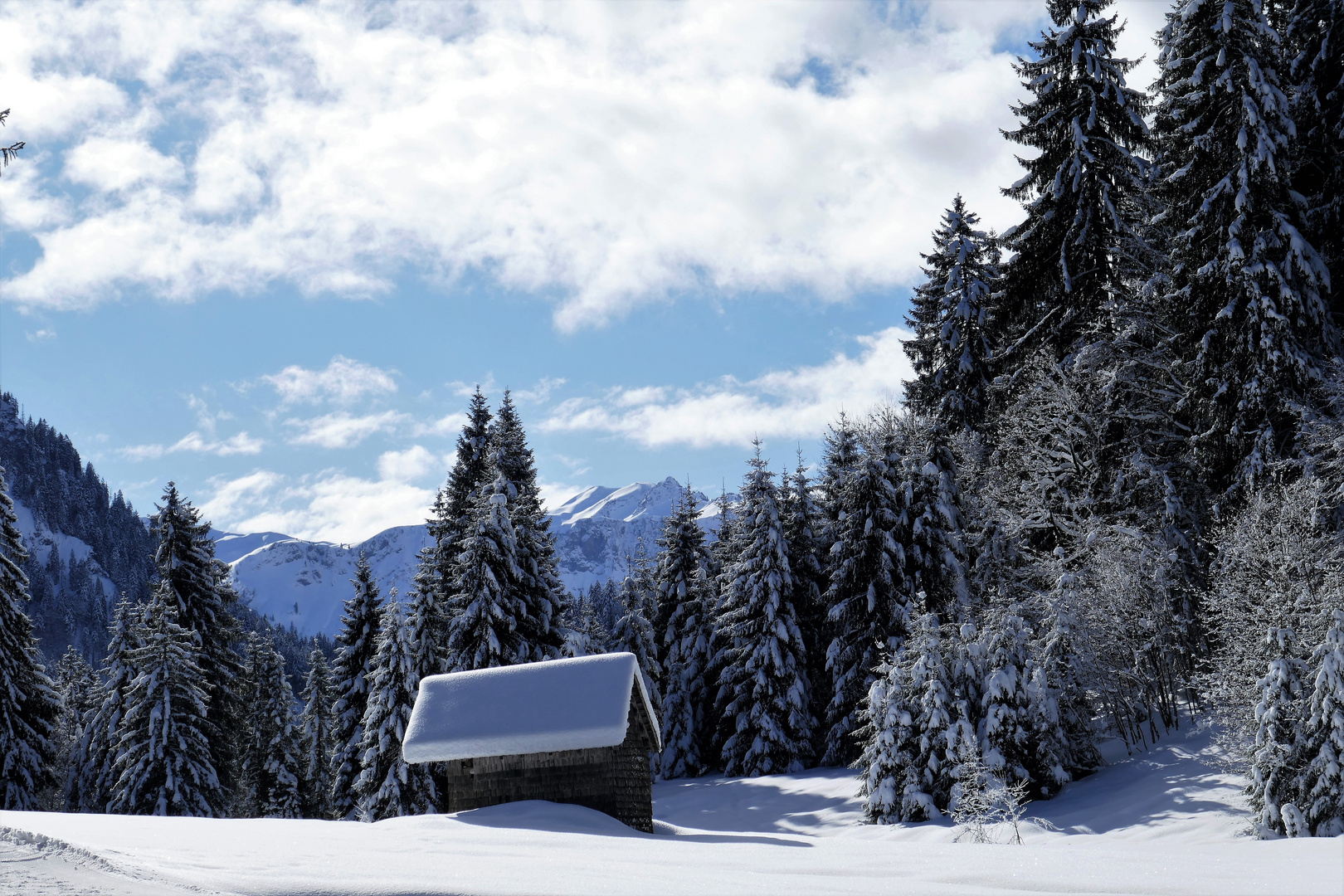 Auf dem Weg nach Schönenbach 02