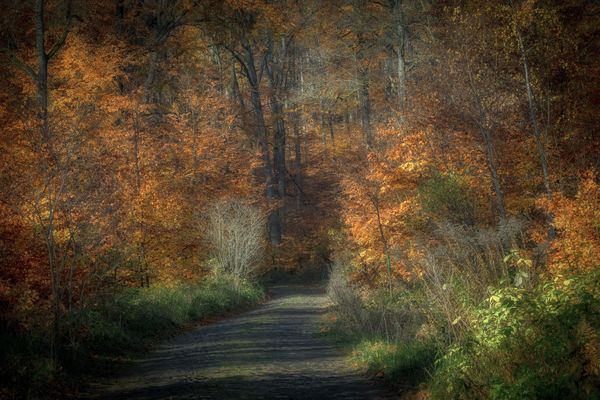 Auf dem Weg nach Senftenhütte