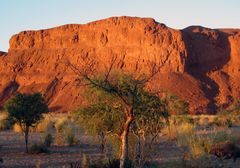 auf dem Weg nach Sossusvlei