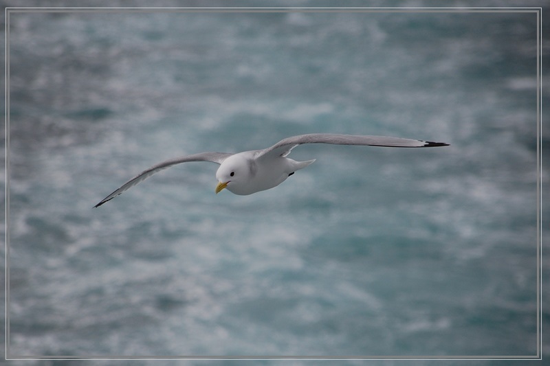 Auf dem Weg nach Spitzbergen I