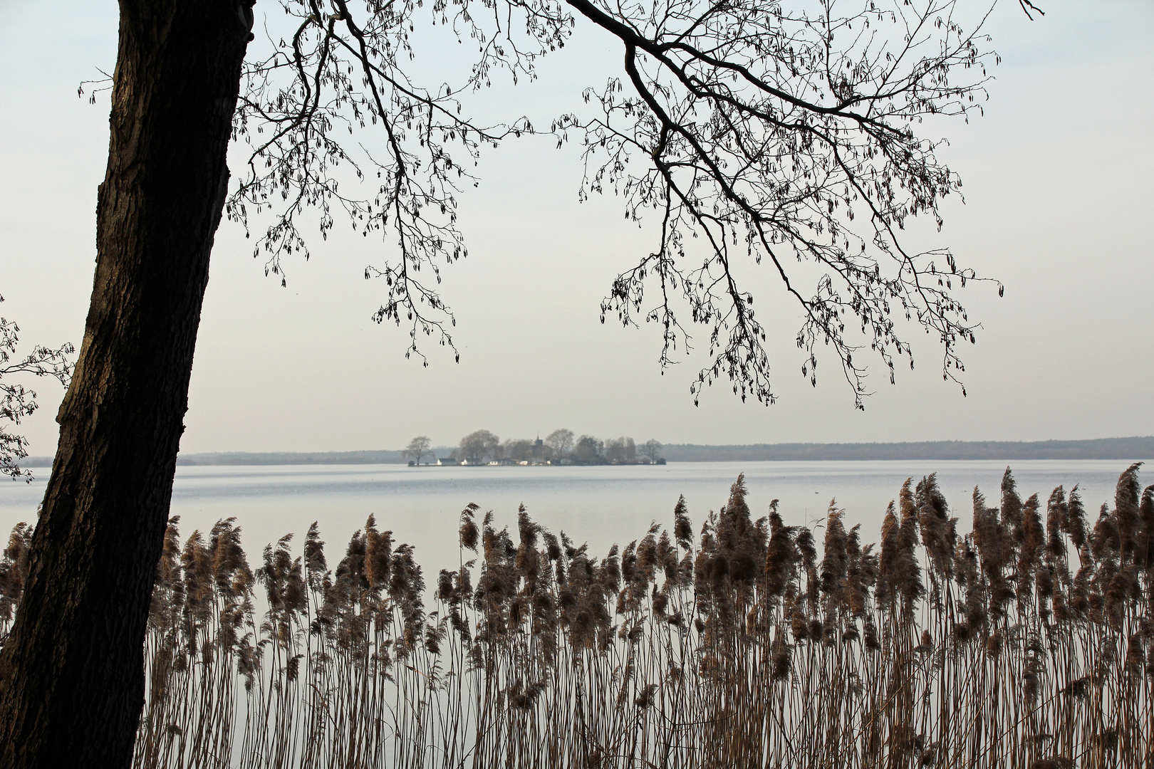 auf dem Weg nach Steinhude